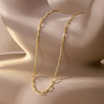 Paperclip Chain Necklace, 14K gold vermeil, flat lay detail